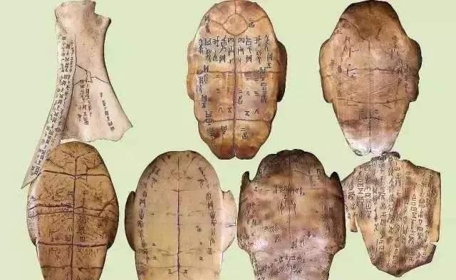 龙骨|古代金疮药那么神奇,为啥现在不生产?配方现在也有,苦于原料