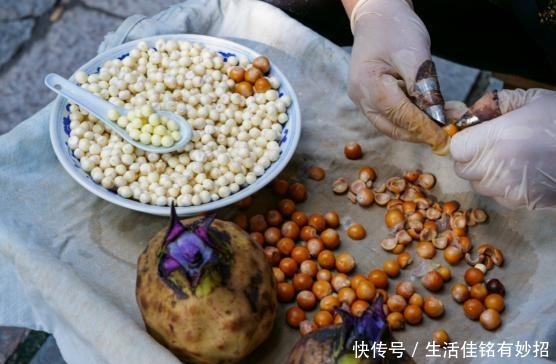 仙女|像江南小仙女一样鲜灵灵的水八仙,在秋天发出邀请函