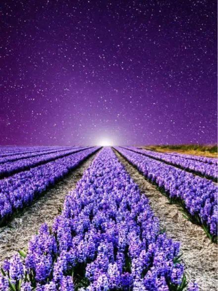 励志|优美的励志句子给人力量