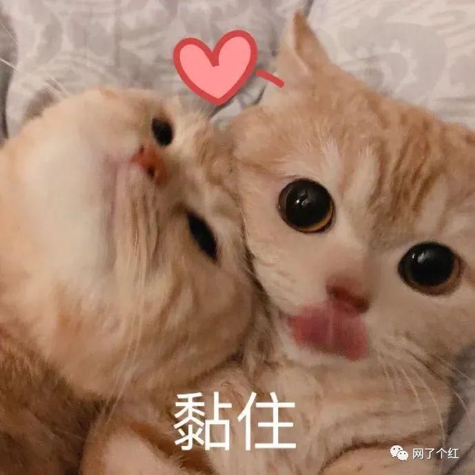 呜呜呜呜|“甜系小女孩可以有多甜?”啊啊啊看完心都化了!