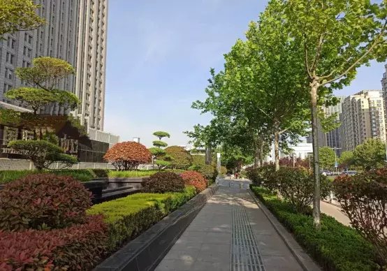 海安路瑞竹|看着都让人脸红！不文明“随手拍”第一期曝光！