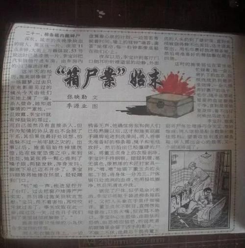 董玉贞|民国悬案,女子失踪丈夫登报寻人,警察调查无果却被一只猫破解?