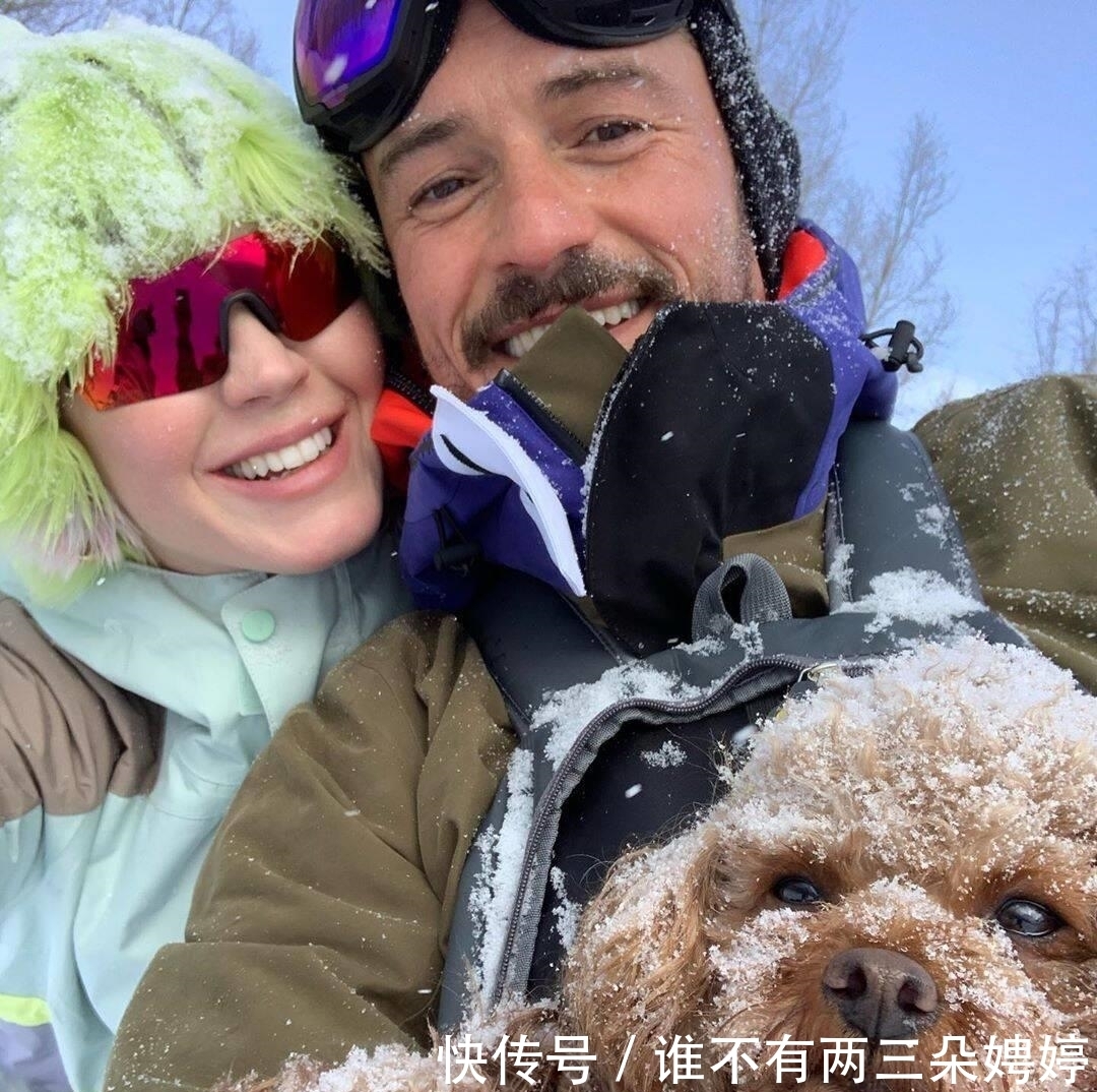  奥兰多|经过7天搜寻，奥兰多布鲁姆宣布失踪的狗已经死亡，只找到了项圈