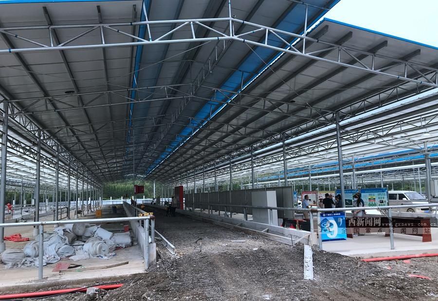 打造|忻城：14亿打造“牛”经济 助力产业扶贫和乡村振兴