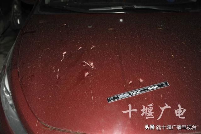  刑拘|十堰男子酒后连砸5辆车被刑拘 酒醒过后追悔莫及