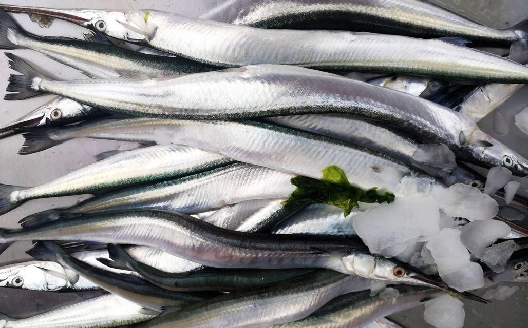 海鲜|酒店带鱼268一斤,菜市场便宜只要15,梭子蟹长大点50一斤