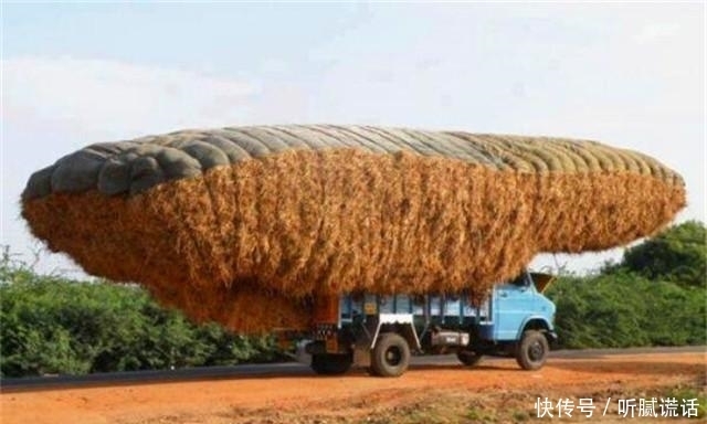 行不行|每日一笑:媳妇,这么冷的天,穿厚点再出门行不行