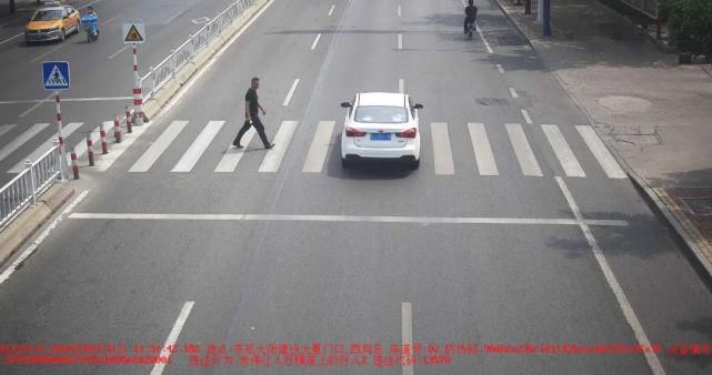 泰安|鲁JM2**3、鲁JJ0**7、鲁J62**N……泰安这15辆车被曝光!