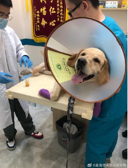  烫伤|地面62℃，杭州大伯摔倒后二度烫伤！网友晒出一张图，更扎心了