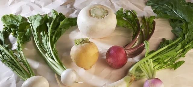 木里|佐木里的萝卜是什么？你能吃吗？好吃吗？你怎么吃的？