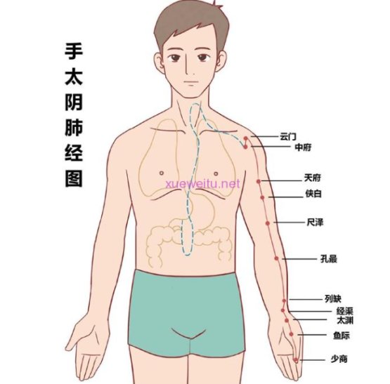 冬至吃羊肉汤怎么做才能大补(节气养生｜今年冬至少了羊肉汤？可以试试这些养生小妙招！)