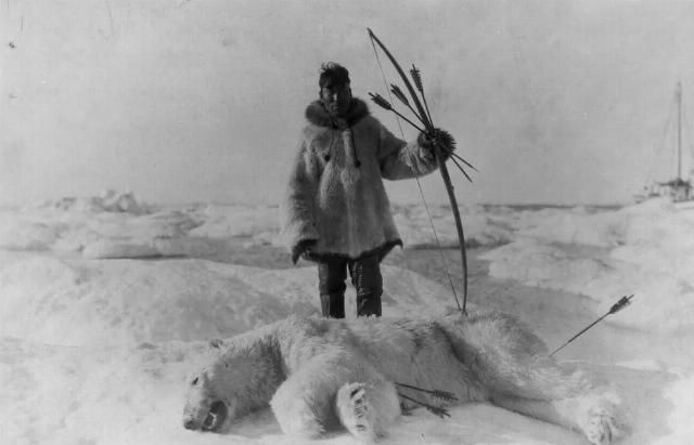  合法|有钱人花上33万，就可以在加拿大合法杀死一只北极熊