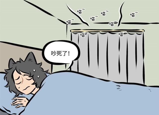  备胎|万圣街：桃子莫名给人当了“备胎”，猫咪快还我“少女心”！