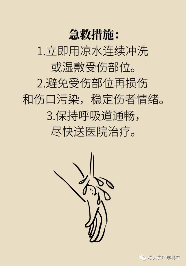  常识|人民日报总结14个急救常识，快收藏！
