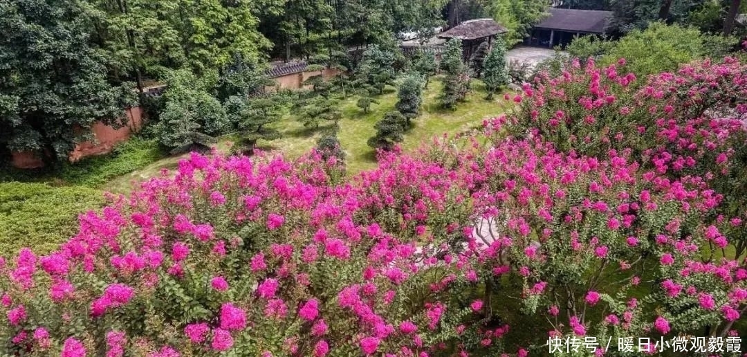 浅谈|浅谈秀丽东方IP对成都公园城市建设的借鉴作用