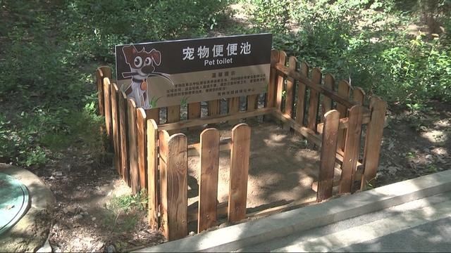  街头|文明养宠新手段 潍坊青州市街头现“宠物厕所”