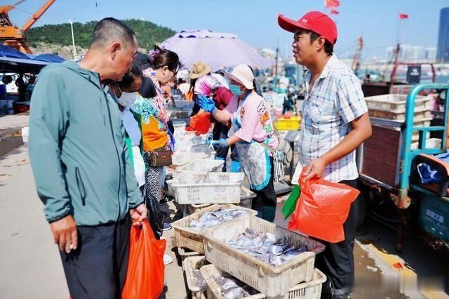 开海|开海后大渔船回来 海鲜堆满码头 价格比禁渔期便宜不少