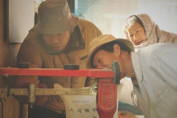  夏天|【津评乐】遇见夏天，醉美卜庄