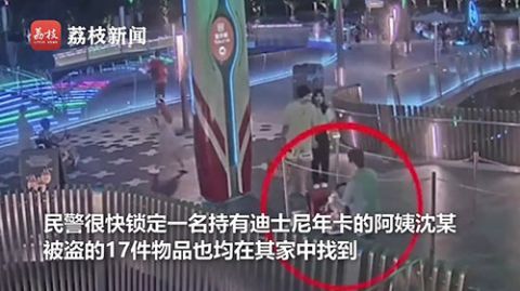 上海|阿姨办上海迪士尼年卡多次入园盗窃:称是个人爱好,已被刑拘