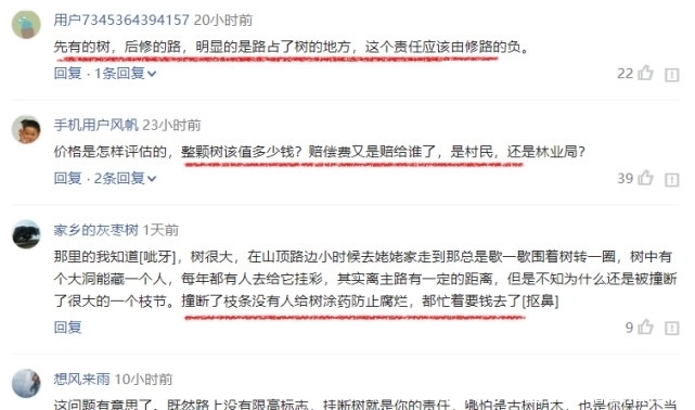  保险公司|朴树被“撞断”树枝，司机要赔13.7万！