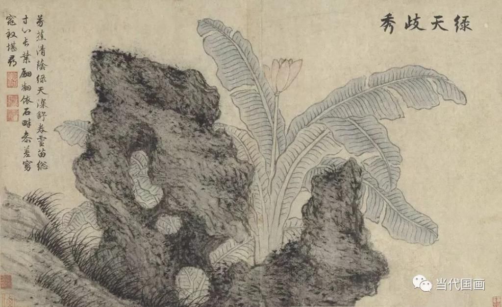 欣赏|明 文徵明 花卉册页欣赏