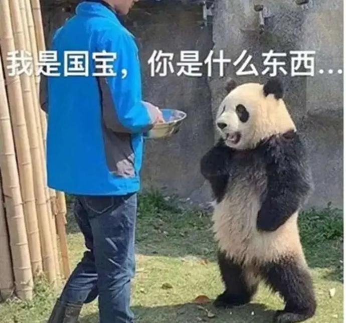 野生动物|走私象牙你可能听过！走私猛犸象牙你听过吗？