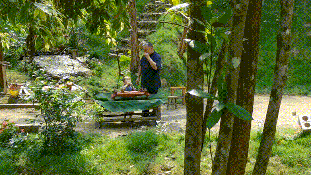  时间|“木虫”钻进互联网