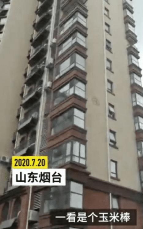  DNA|整楼都做DNA鉴定，面对百万费用，高空抛物肇事者被吓到“自首”