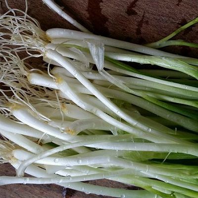  肉包|香葱牛奶营养小肉包