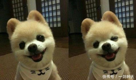 全班同学|班主任让我回家叫我爸来，然后当着全班同学的面，把我俩一起踹！