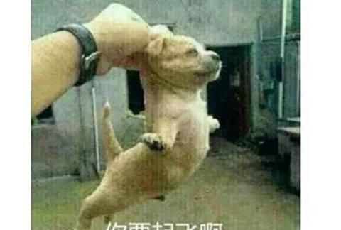 放出|为重回巅峰，绝地求生第九赛季放出大招！推出多个重磅更新