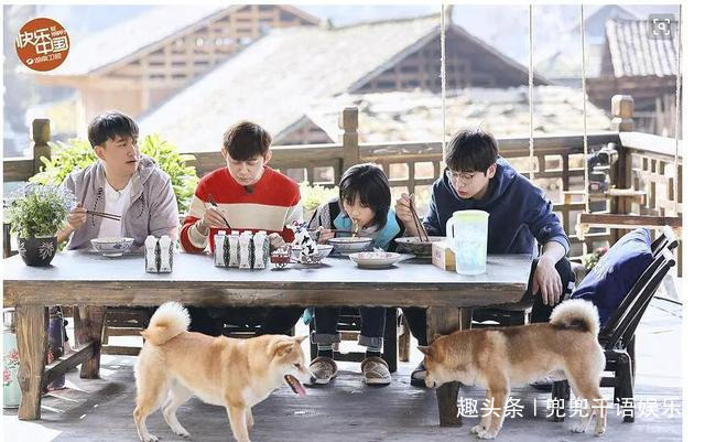 反感|《向往的生活》观众最反感的四位嘉宾和观众最喜欢的四位嘉宾