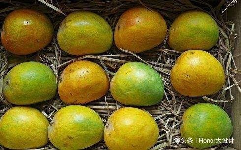 食用|印度特有的3种水果,印度根菜、变色果、一号芒果,见过的人不多