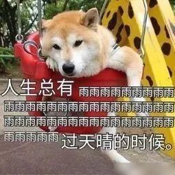  李希侃|这场直播车祸，简直尬到我头皮发麻