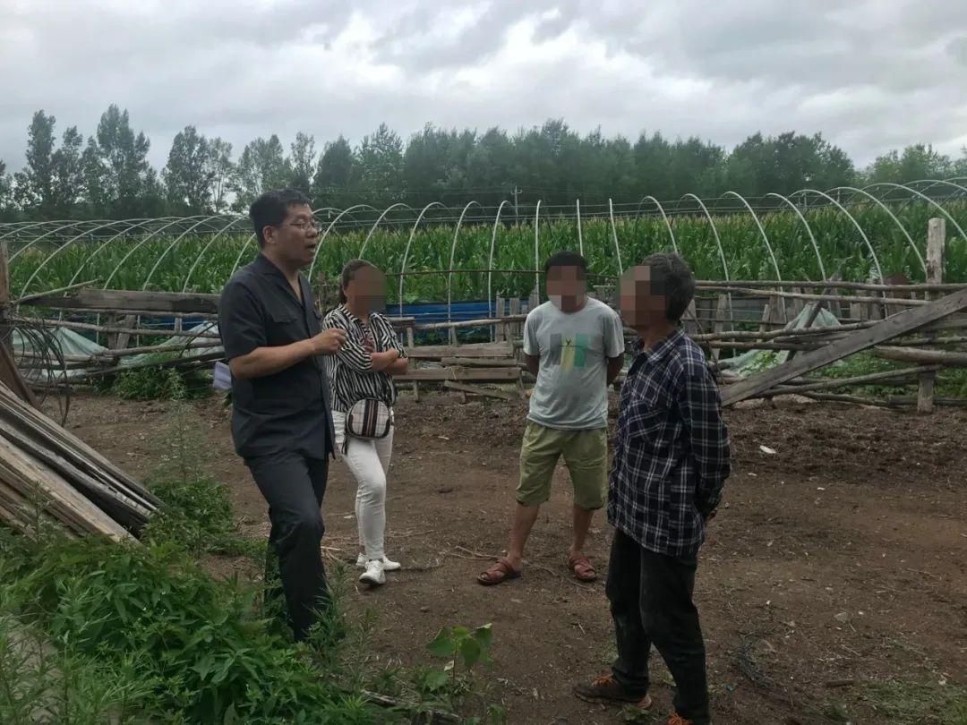 断案|这牛到底是谁的？且看法官断案，“滴血认亲”！