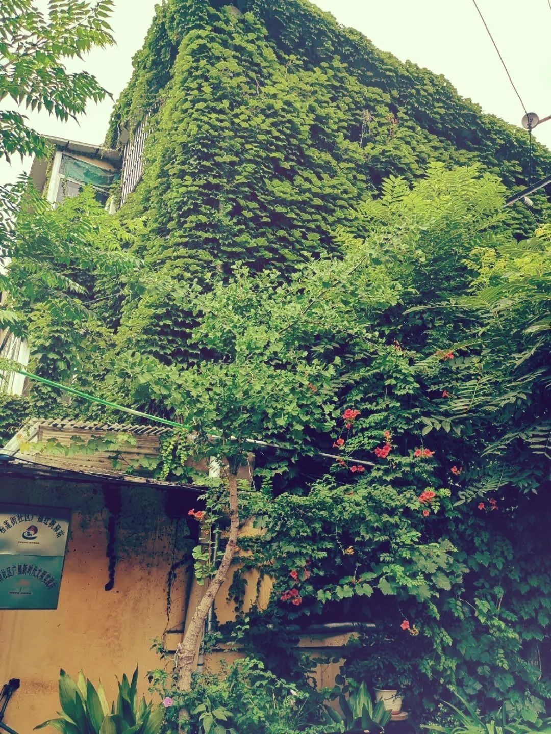  济宁|瞒不住了！济宁这些“隐秘的角落”必须曝光