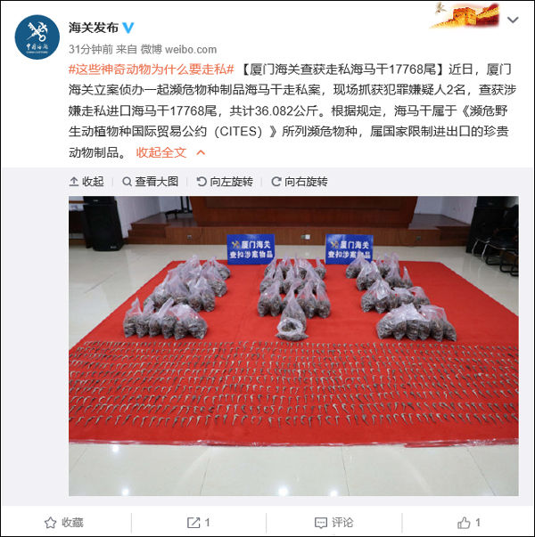 走私|厦门海关查获走私海马干17768尾