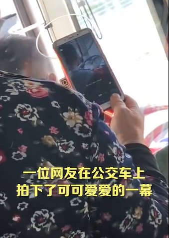 可爱|你扫我？老奶奶坐公交对着司机的头扫码 可爱一幕！