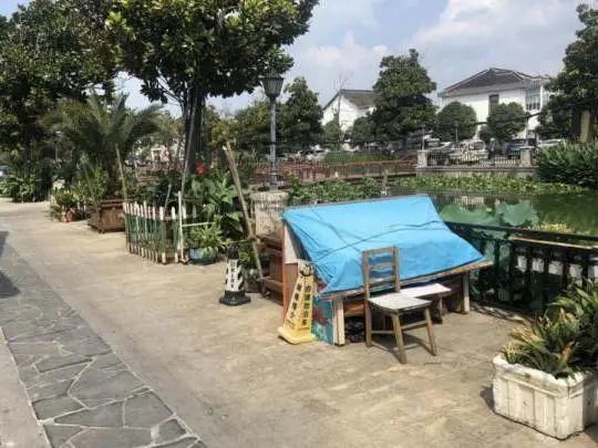 现象|文明创建曝光台丨今天曝光这些不文明现象！