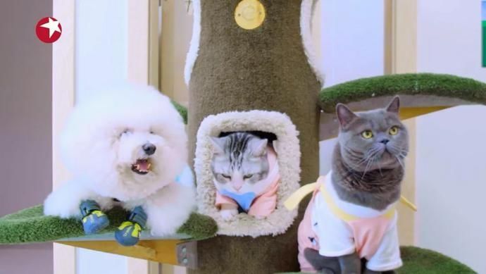  见招拆招|《一席之地》第二季今晚22:00开播！黄奕助力设计师见招拆招