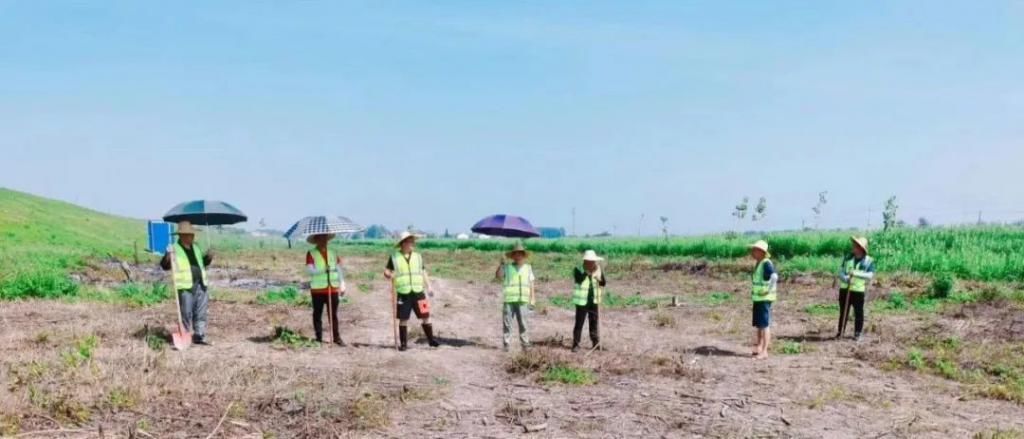  模式|最高40摄氏度！烧烤模式下江堤上的坚守……