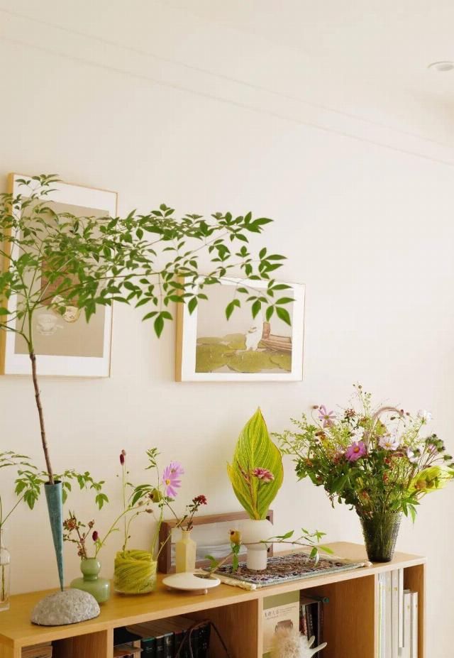  吊钟|她们的家，美得很让人种草