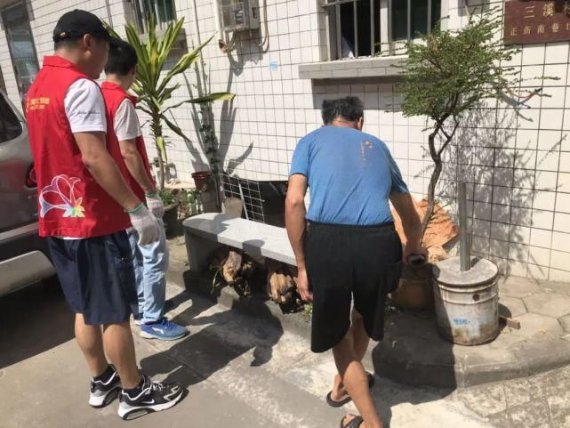  共享单车|【打赢创文攻坚战（76）】近2000市民群众出动！东区奏响创文“最强音”