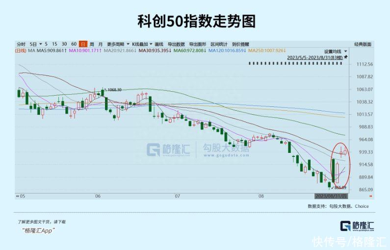 战略布局正当时