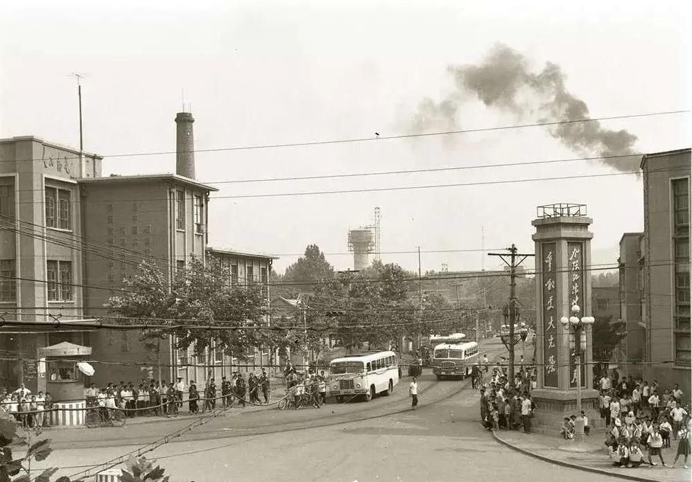  养父|尘封三十多年的身世之谜，如今她只想见一眼亲生父母