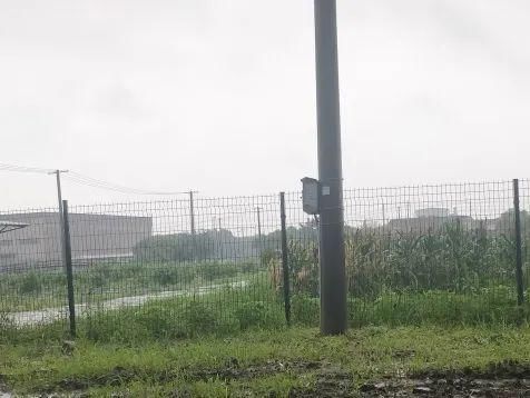 整改前|文明创建曝光台丨又有哪些不文明行为被曝光