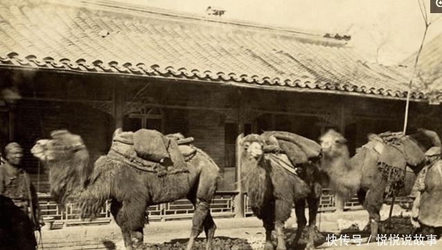 现场|英国人拍摄的晚清老照片, 曾国藩孙女与李鸿章侄子大婚现场!