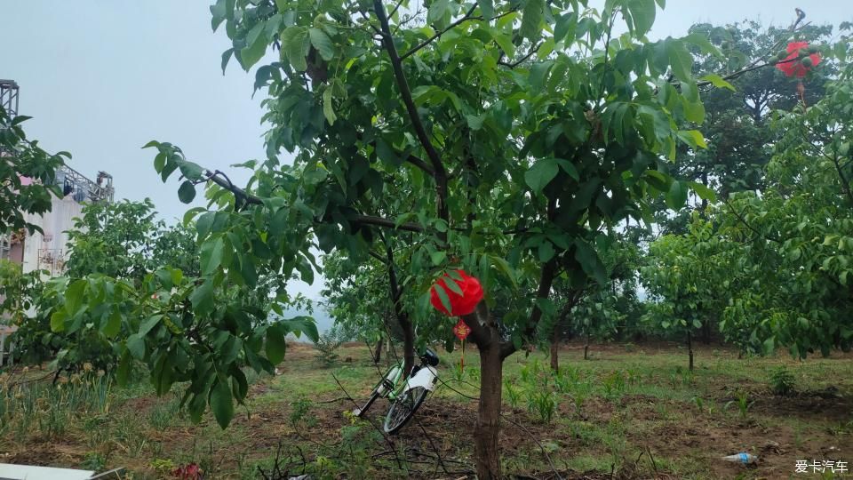 干干净净|老家兄弟结婚，大汉来当录像车！