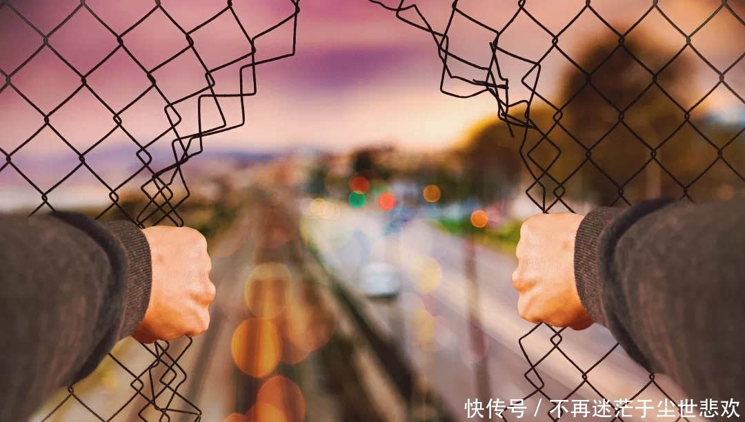 治愈|自律，是治愈一切的良药！