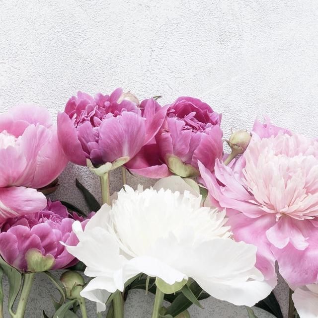  身边|其实和好如初，挺难的！